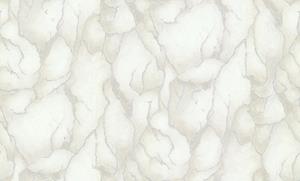 Dutch Wallcoverings Yudashkin 5 10X1,06M - Beige/Zilver