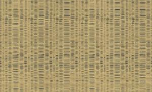 Dutch Wallcoverings Yudashkin 5 10X1,06M - Goud
