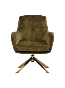 Loods XL Fauteuil Cleveland groen/goud polyester