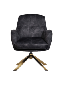 Loods XL Fauteuil Cleveland grijs/goud polyester