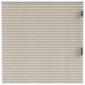 Fenstr plisségordijn Lille enkel 20mm transparant - crème (25004)