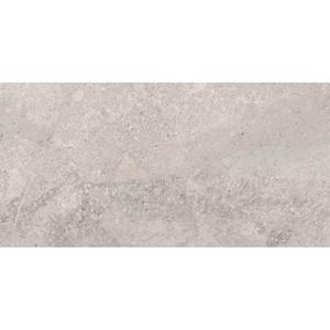 Pamesa Vloertegel  Erding Silver 30x60 cm Gerectificeerd Mat Grijs 