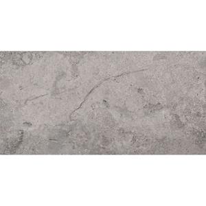 Pamesa Vloertegel  Erding Grey 30x60 cm Gerectificeerd Mat Grijs 