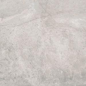 Pamesa Vloertegel  Erding Silver 60x60 cm Gerectificeerd Mat Grijs 