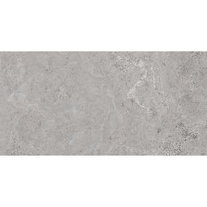 Pamesa Vloertegel  Erding Ash 60x120 cm Gerectificeerd Mat Grijs 