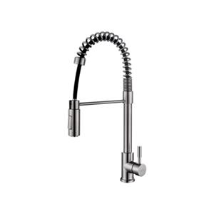 Boss & Wessing BWS Professionele Hera Keukenkraan met Handdouche RVS