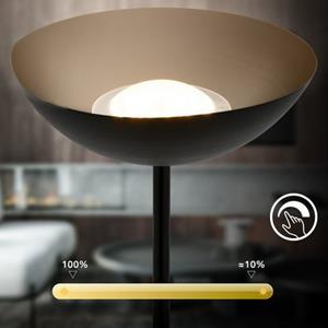 Briloner Leuchten Staande lamp Estate Vloerlamp