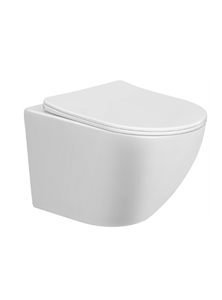DTG Star randloos toilet met softclose zitting wit glans