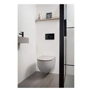 Xenz Gio randloos toilet 52cm met vortexspoeling en zitting grijs mat