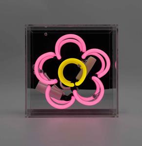 Locomocean Daisy mini neon sign acrylic box