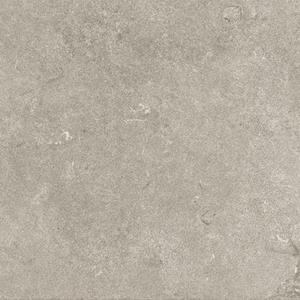 Valence Tegelsample:  Lisse vloertegel 100x100cm grijs mat gerectificeerd