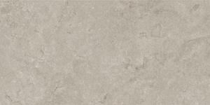 Valence Lisse vloertegel 60x120cm grijs mat gerectificeerd
