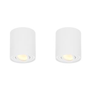 HOFTRONIC™ 2x Dimbare LED Opbouwspot plafond Ray Wit incl. GU10 spot 5W 2700K IP20 kantelbaar
