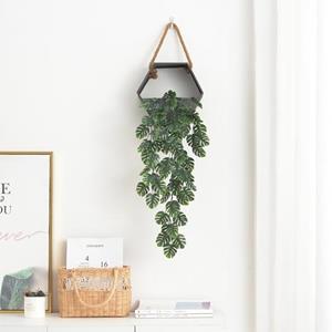 Amusedly Mode Wandmontage Voeg sfeer toe Vine Exquisite Draagbaar