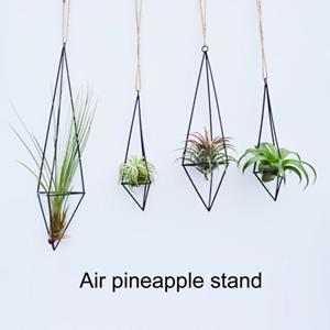 Amusedly 1 Set Luchtplantenhouder Geometrische Vorm Esthetische Structuur 3D Visueel Effect Eenvoudig te Installeren Breed S