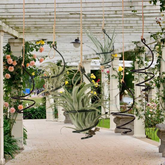 Hello Garden 6 stuks luchtplantenhouder metalen hangende Tillandsia-container verstelbare wervellucht