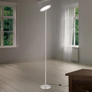 Orion LED uplighter vloerlamp Oscar, dimbaar, kop justeerbaar