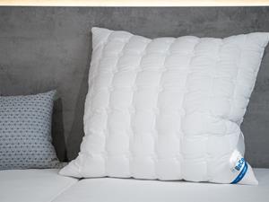 Beco Hoofdkussen COTTON SOFT (80 X 80 cm)
