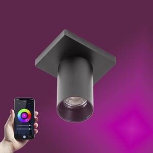 KS Verlichting Mila 1 Opbouwspot Zwart met Smart RGB LED