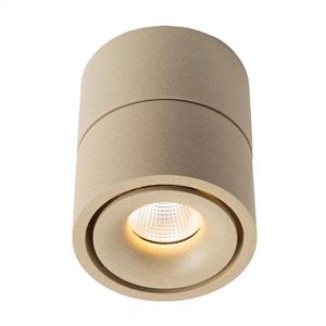 KS Verlichting Ole 1 Opbouwspot Champagne