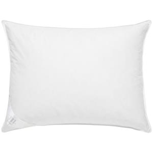 ERWIN M. Kussen Perfekta dons/veren; 60x80 cm (BxL); wit
