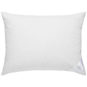 ERWIN M. Kussen Star Luxus dons/veren; 40x80 cm (BxL); wit