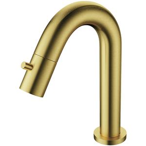 BES LED Toiletkraan - Fonteinkraan - Koudwaterkraan 1/2 - Leoni Coldy - Opbouw - RVS - PVD - Geborsteld Goud