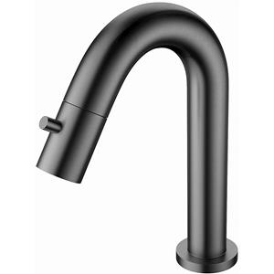 BES LED Toiletkraan - Fonteinkraan - Koudwaterkraan 1/2 - Leoni Coldy - Opbouw - RVS - PVD - Gunmetal Grijs
