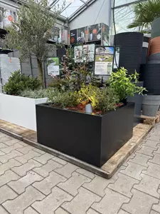 GLM plantenbak Lyon met bodem Zwart 75x75x40cm