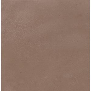 Praxis Wand En Vloertegel Terra Clay - Keramiek - Bruin – Gerectificeerd - 15x15 Cm - 0,495m²