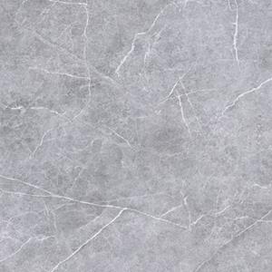 Praxis Wand- En Vloertegel Moon - Keramiek - Grijs - 60x60cm - Gerectificeerd - Pakketinhoud 1,44m²