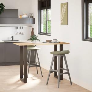vidaXL Salontafelpoten 2 st U-vormig 50x(100-101) cm staal naturel