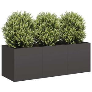 VidaXL Plantenbak 120x40x40 cm koudgewalst staal zwart