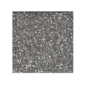 Terre d'Azur Terrazzo vloertegel 20x20cm zwart