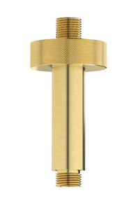 Plieger Roma plafondarm 10cm goud geborsteld