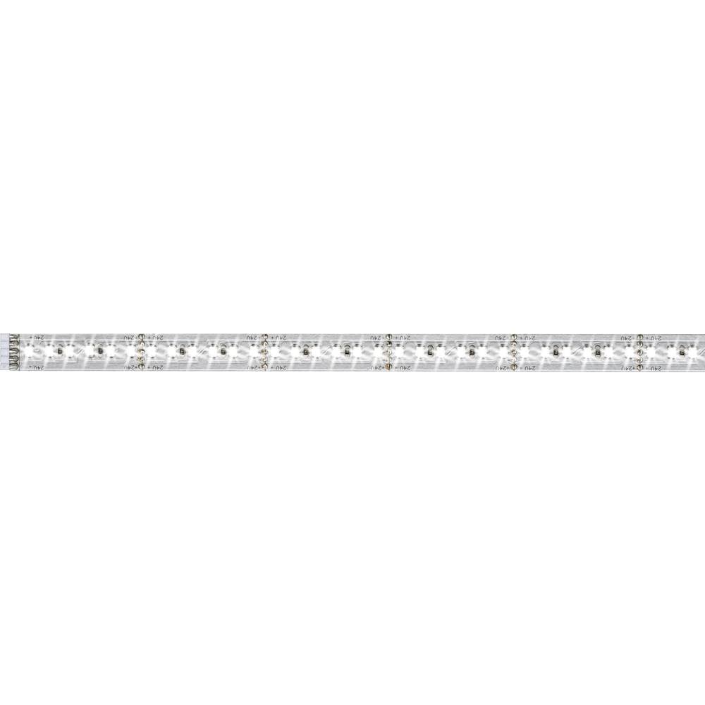 Paulmann MaxLED 1000 70569 LED-strip uitbreidingsset Met connector (male) 24 V 1 m Daglichtwit
