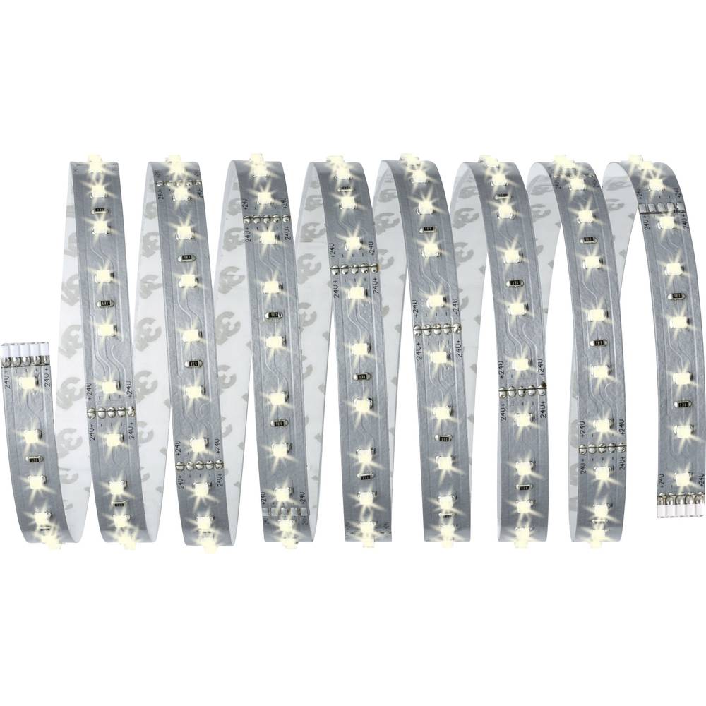 Paulmann MaxLED 500 70828 LED-strip uitbreidingsset Met connector (male) 24 V 2.5 m Daglichtwit