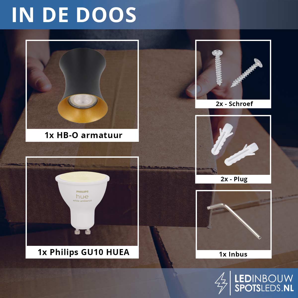Opbouwspot Dublin - met gu10 Philips Hue white&ambiance - zwart&goud