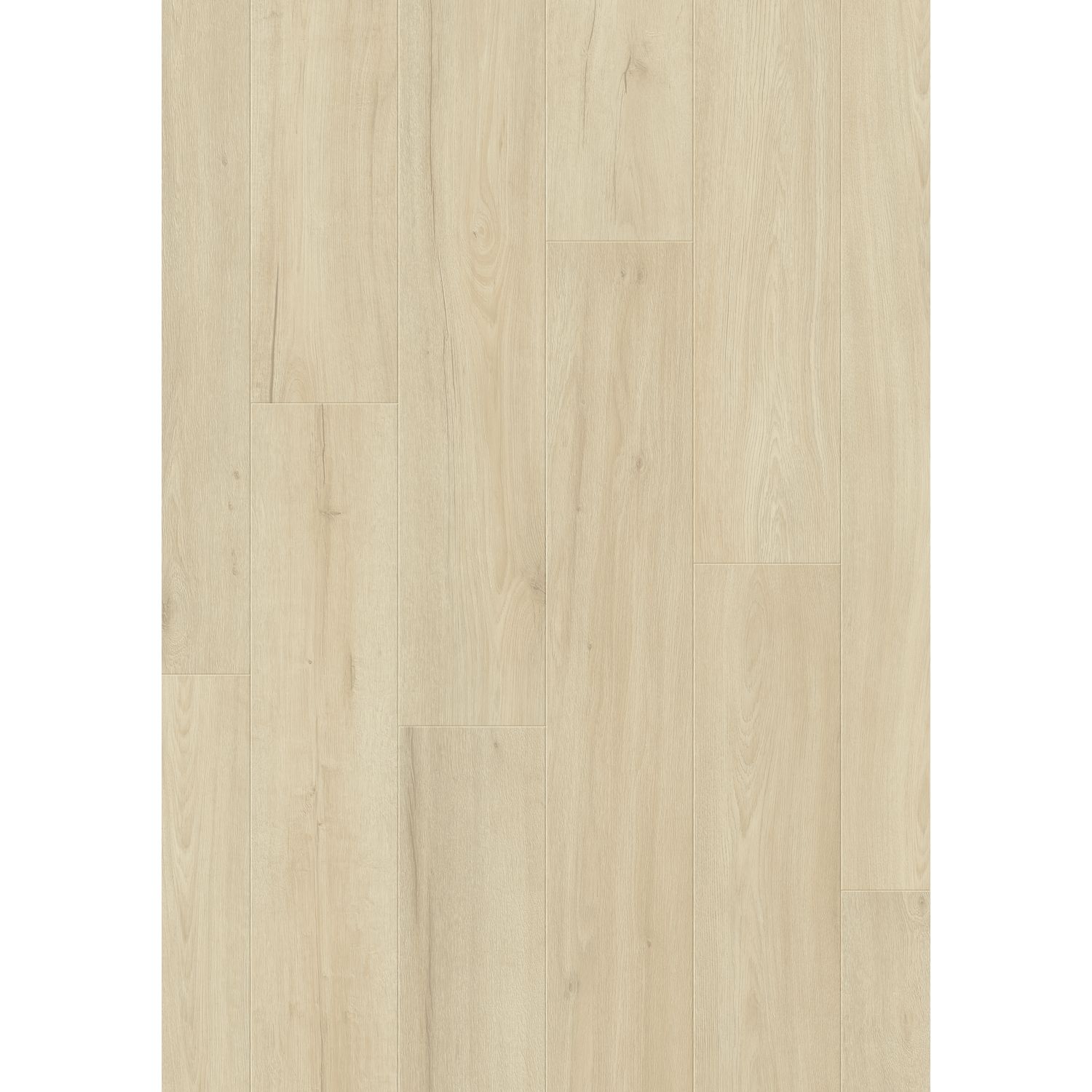 Quick Step Quick-step Laminaat Complete - Ruwe Witte Eik - 4-zijdige V-groef - 8mm - 2,179m&sup2;