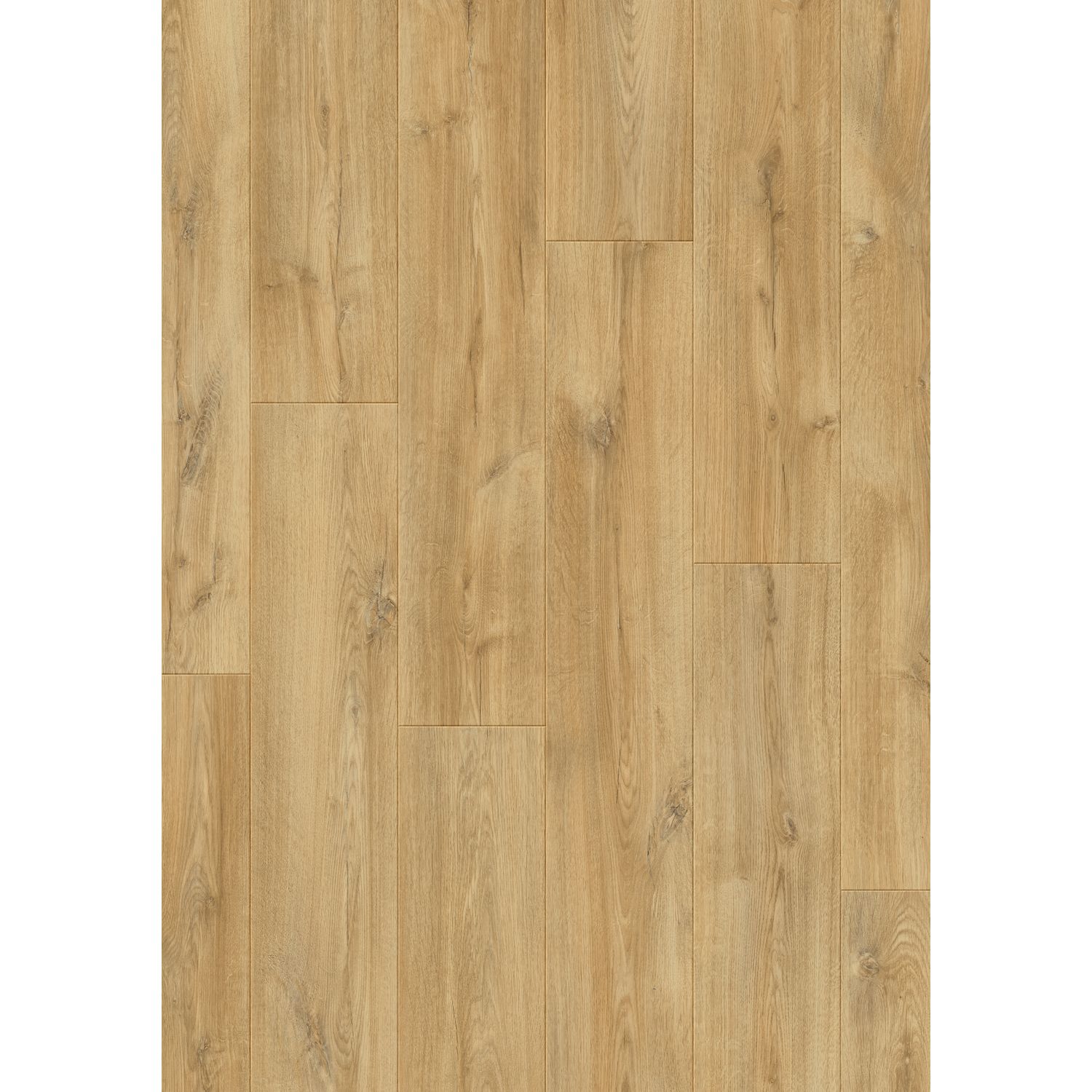 Quick Step Quick-step Laminaat Complete - Vanille Eik - 4-zijdige V-groef - 8mm - 2,179m²