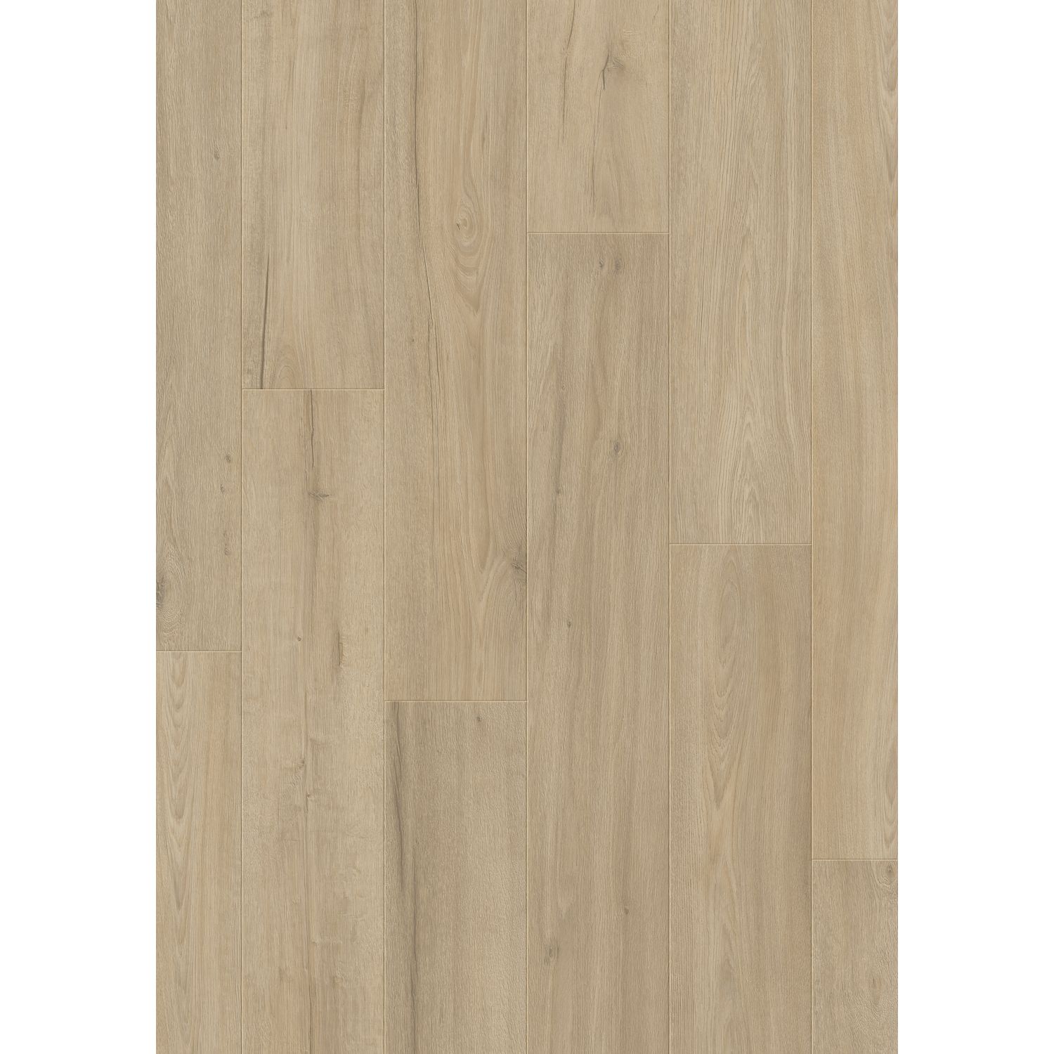 Quick Step Quick-step Laminaat Complete - Stevige Natuurlijke Eik - 4-zijdige V-groef - 8mm - 2,179m²