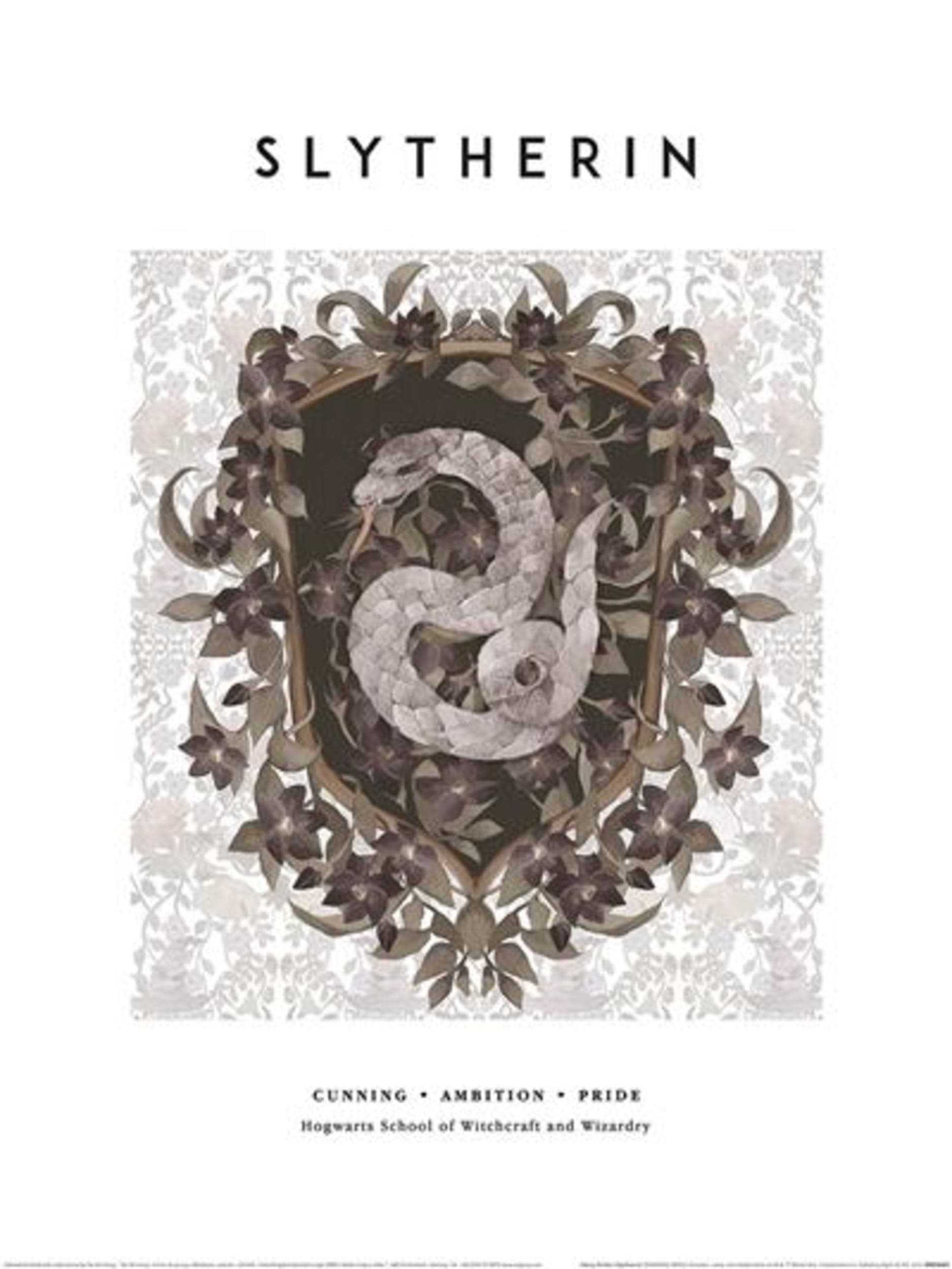 Pyramid Kunstdruk Harry Potter - Slytherin 30x40cm
