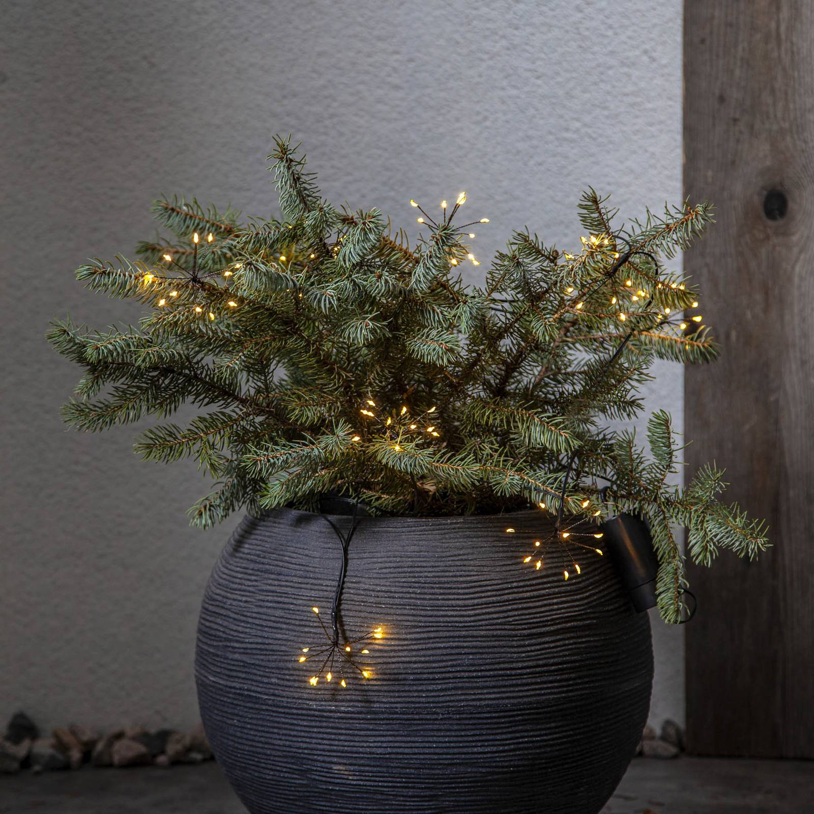 STAR TRADING LED lichtketting Dew Drops Flower