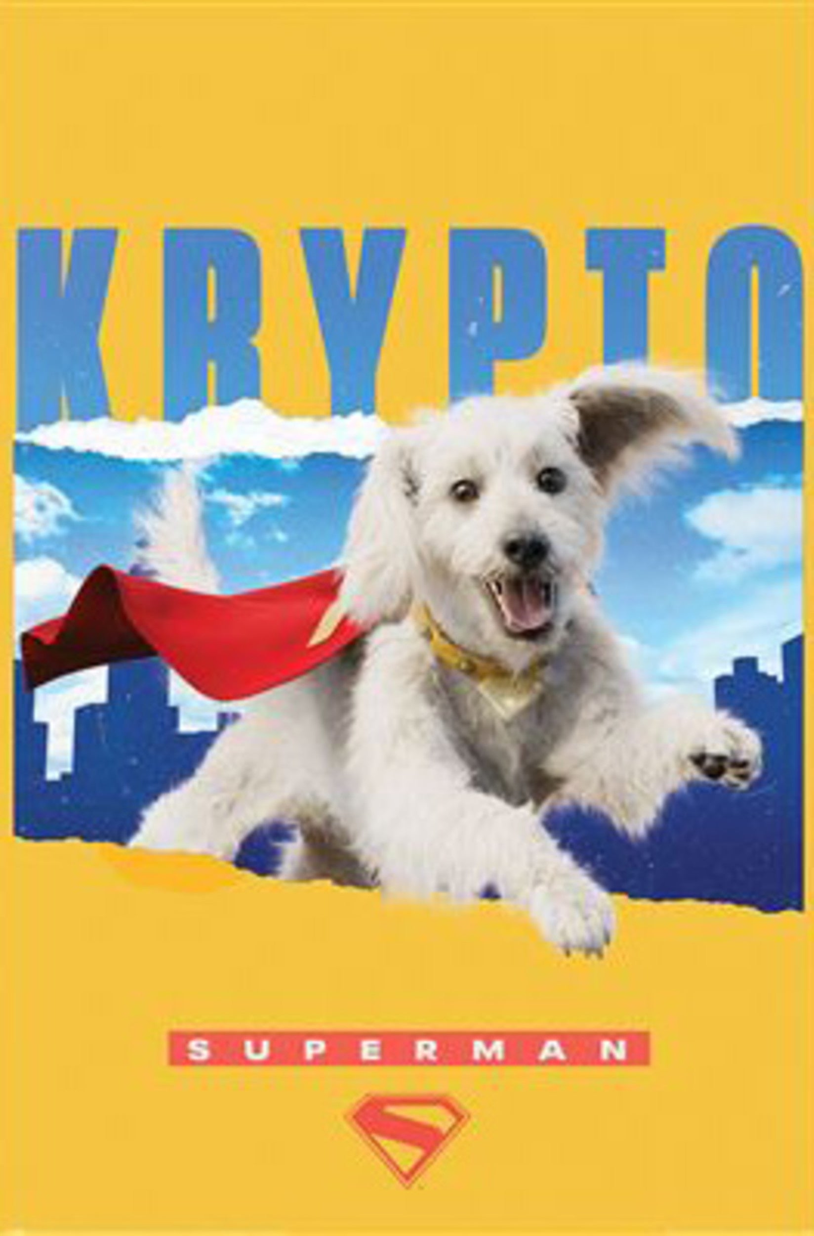 Pyramid Poster Superman Krypto 61x91,5cm