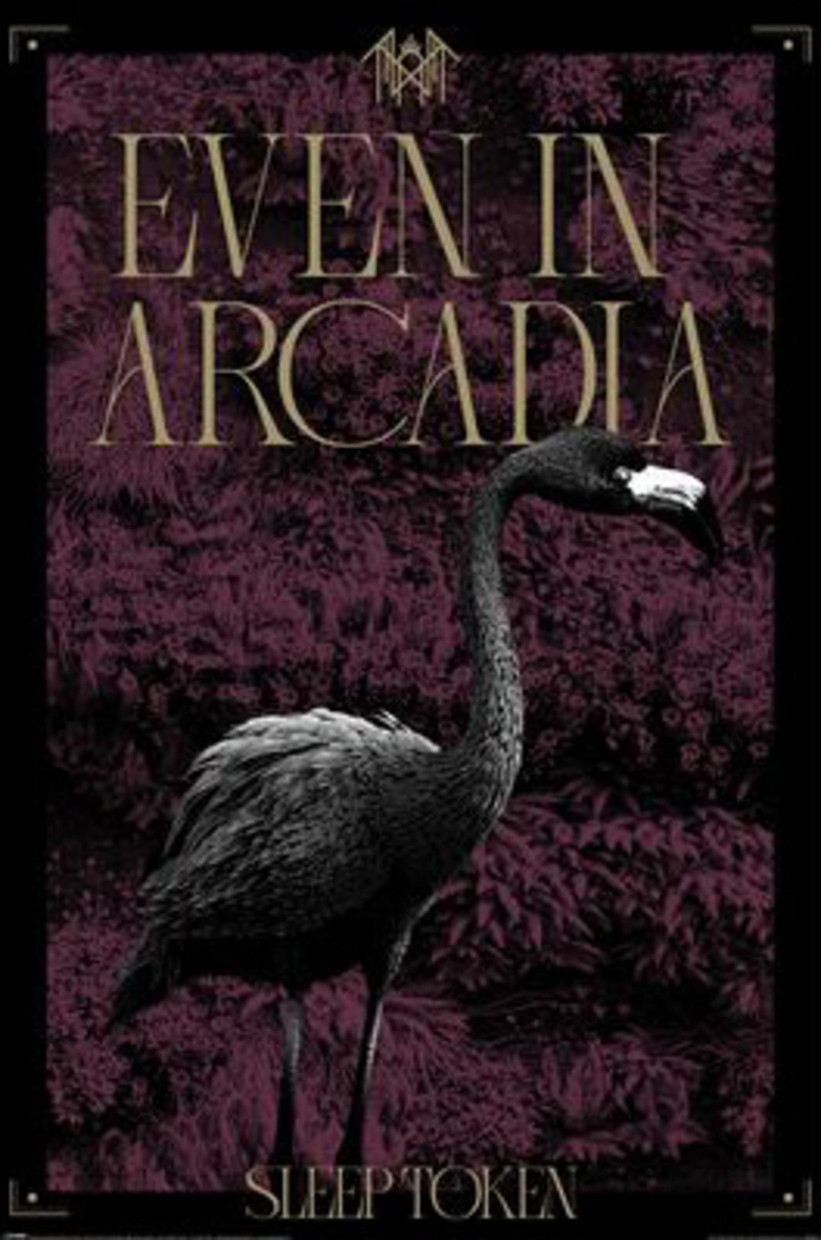 Pyramid Poster Sleep Token - Arcadia 61x91,5cm