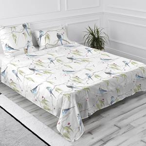 Happy Friday Laken Eucalyptus &VerticalLine; 