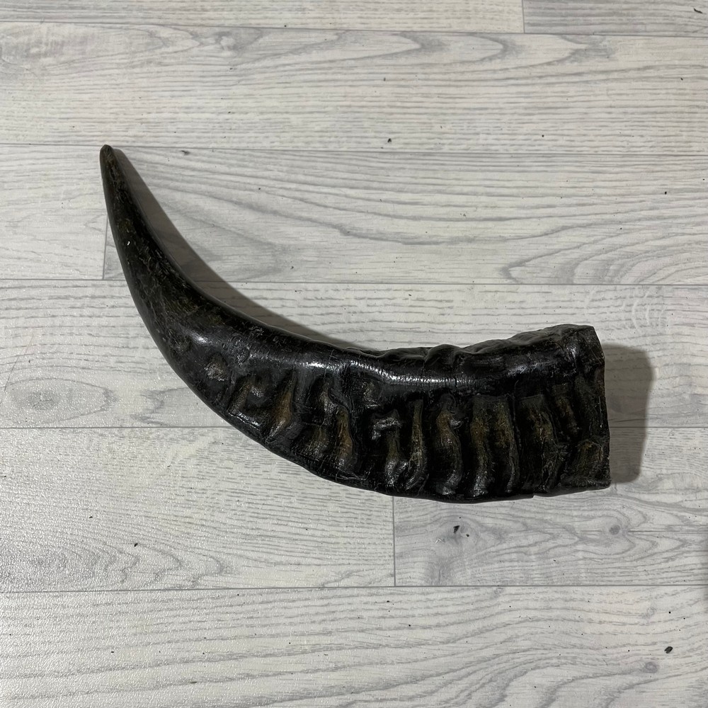 Lederstore Waterbuffel hoorn 45cm