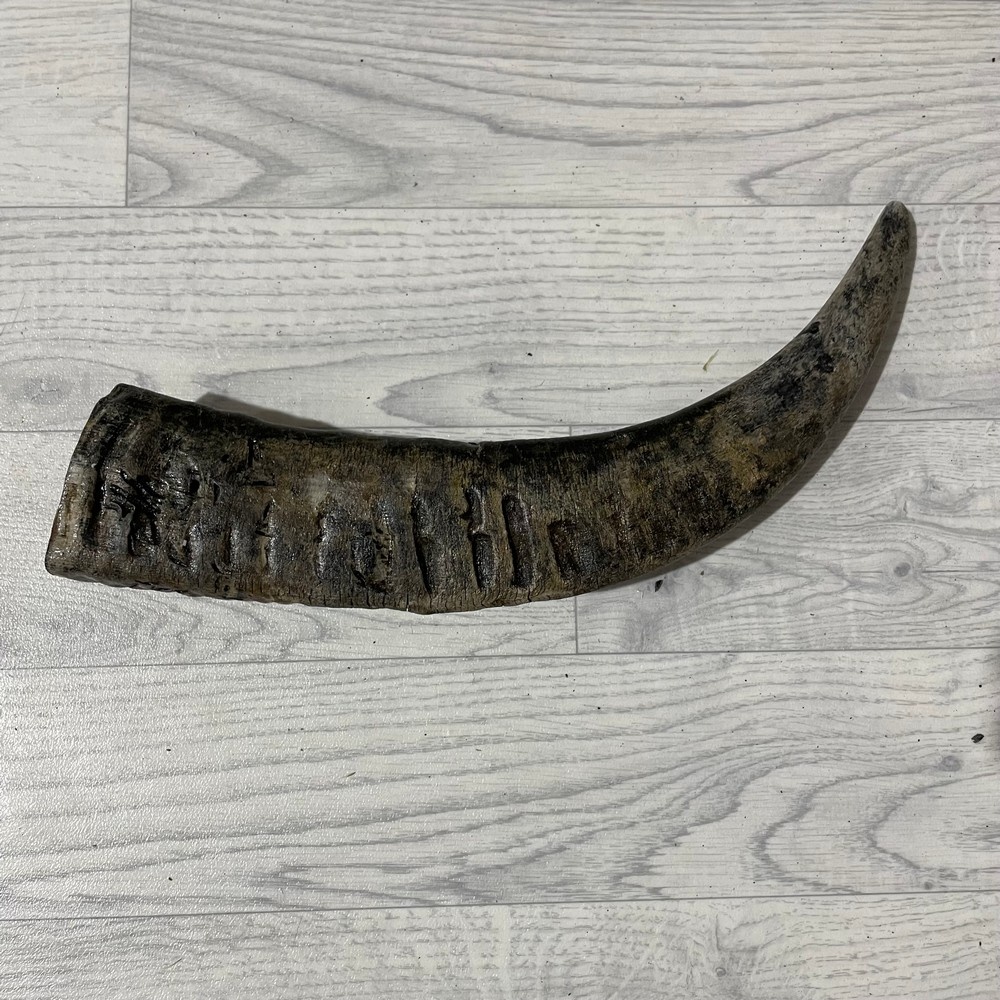 Lederstore Waterbuffel hoorn 45cm