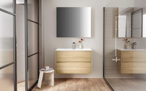 <QuerySet [<AttributeOption: Creavit>]> Aloni Spiegelkast 2 deuren eiken ombouw 60 x 70 x 15 cm