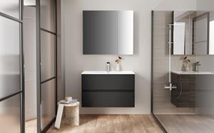 <QuerySet [<AttributeOption: Creavit>]> Aloni Spiegelkast 2 deuren mat zwarte ombouw 80 x 70 x 15 cm